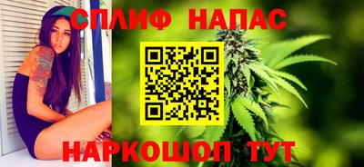 амф Моздок