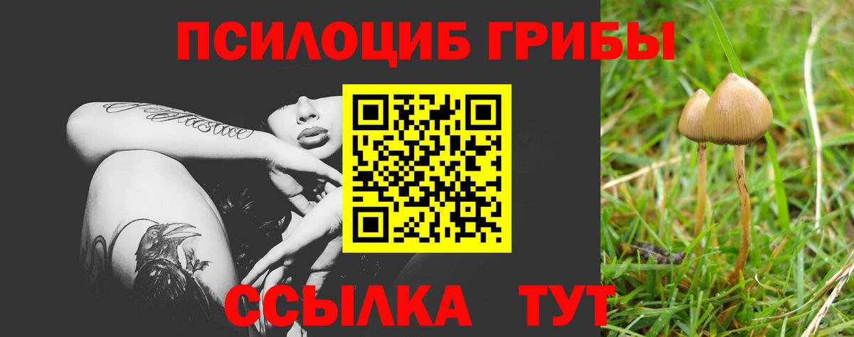 Галлюциногенные грибы GOLDEN TEACHER Унеча