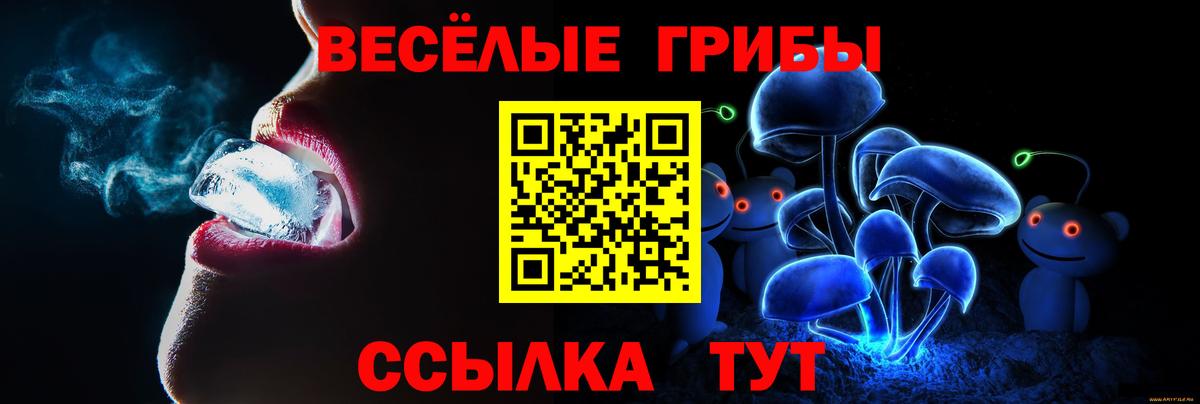 Унеча  Псилоцибиновые грибы Cubensis  Вход с VPN 